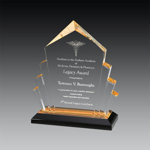 Arrow Impress Award™